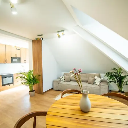 Apartment Kosciuszki Gliwice