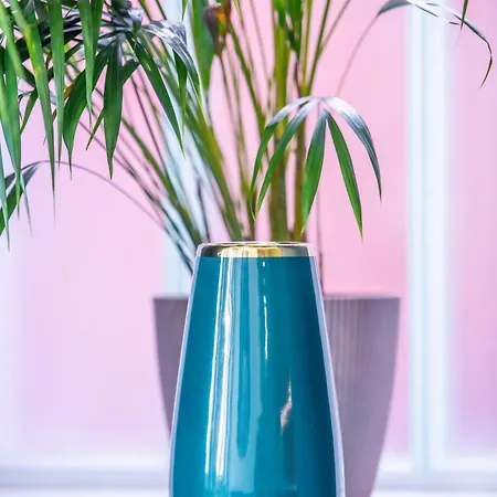 Kosciuszki 아파트