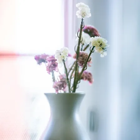 Kosciuszki 아파트 글리비체