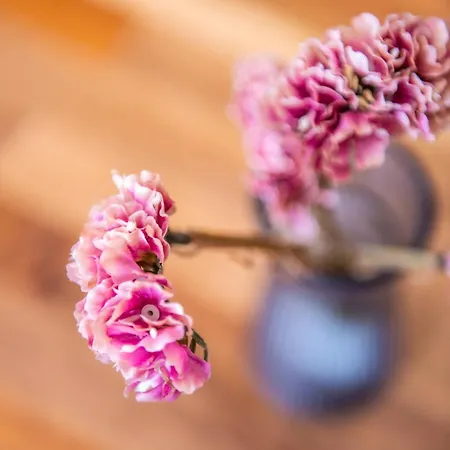 Kosciuszki 아파트 *