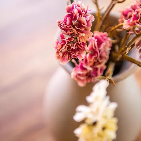 Kosciuszki 아파트 *