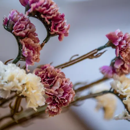 Kosciuszki * 글리비체