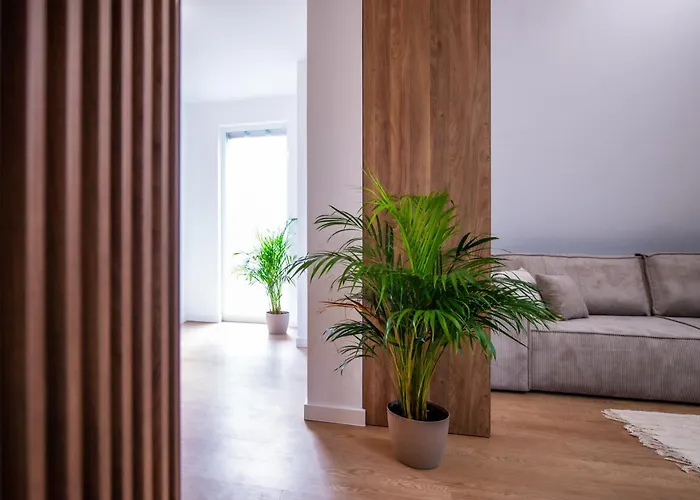 Kosciuszki * Гливице