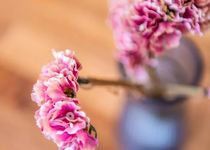 Kosciuszki Апартаменты *