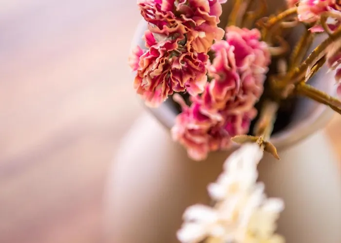 Kosciuszki Апартаменты *