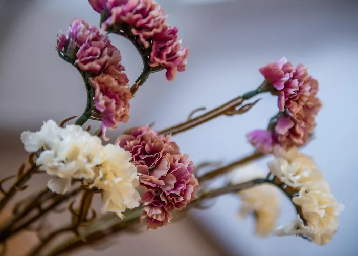 Kosciuszki * Gliwice